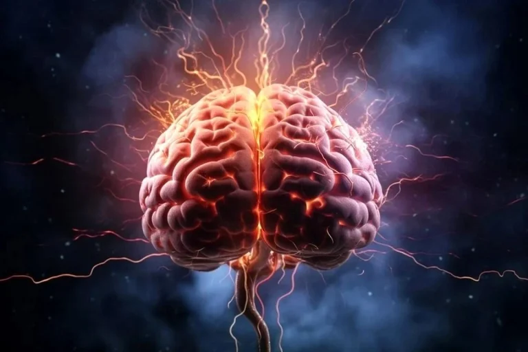 چگونه با تغذیه، عملکرد مغز را افزایش دهیم؟؛ مواد غذایی مفید برای مغز