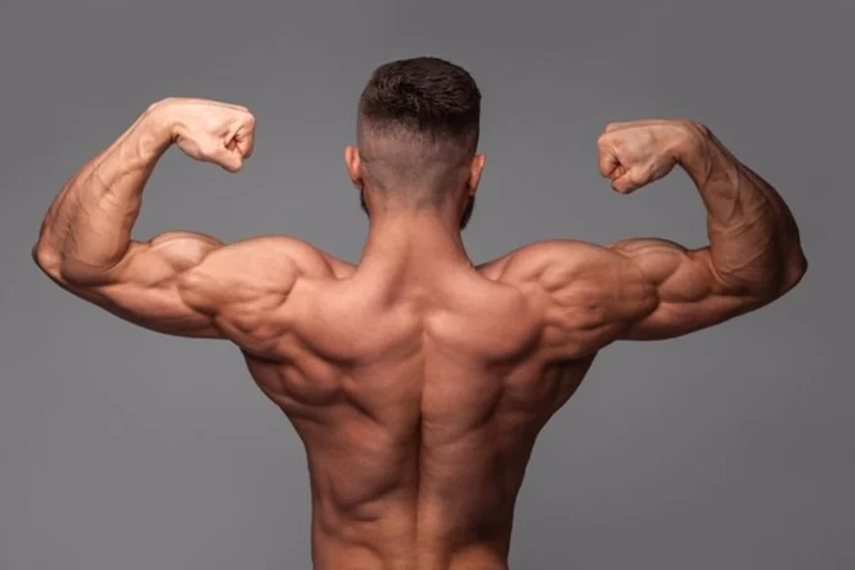 چگونه عضلات پشت و کمر را با ورزش تقویت کنیم؟
