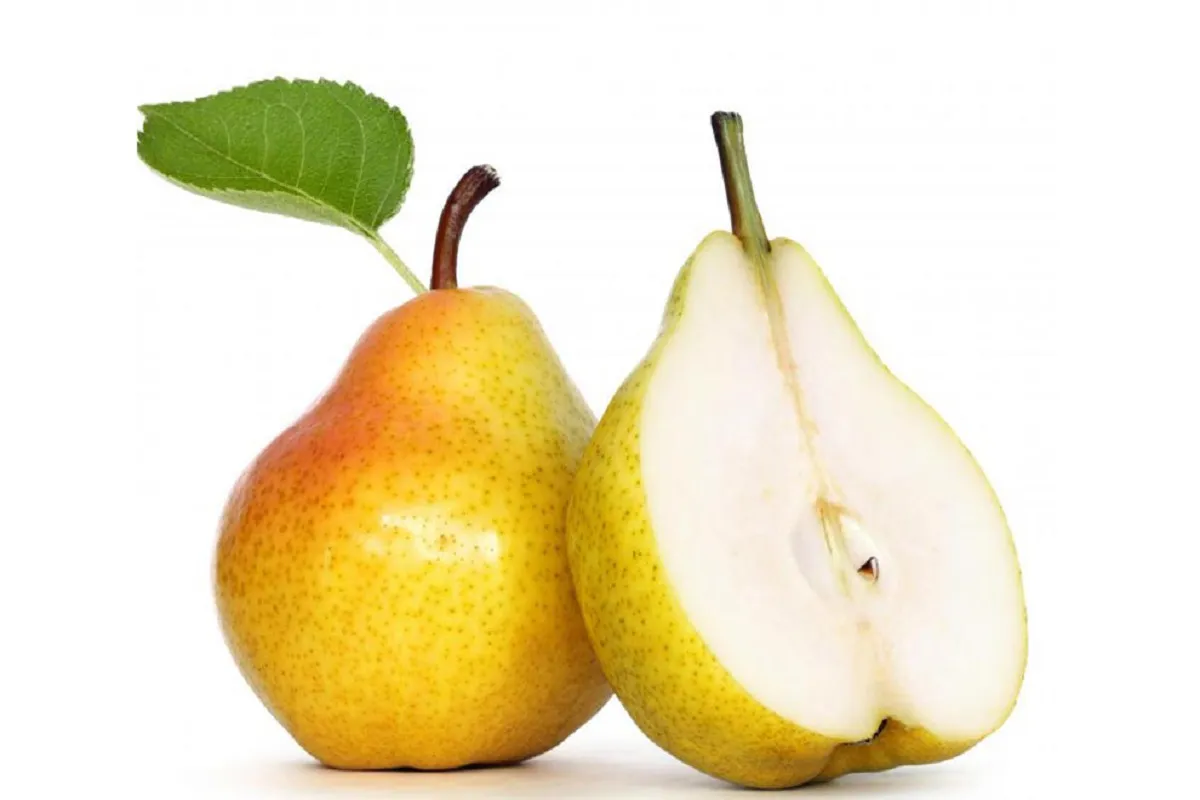 گلابی