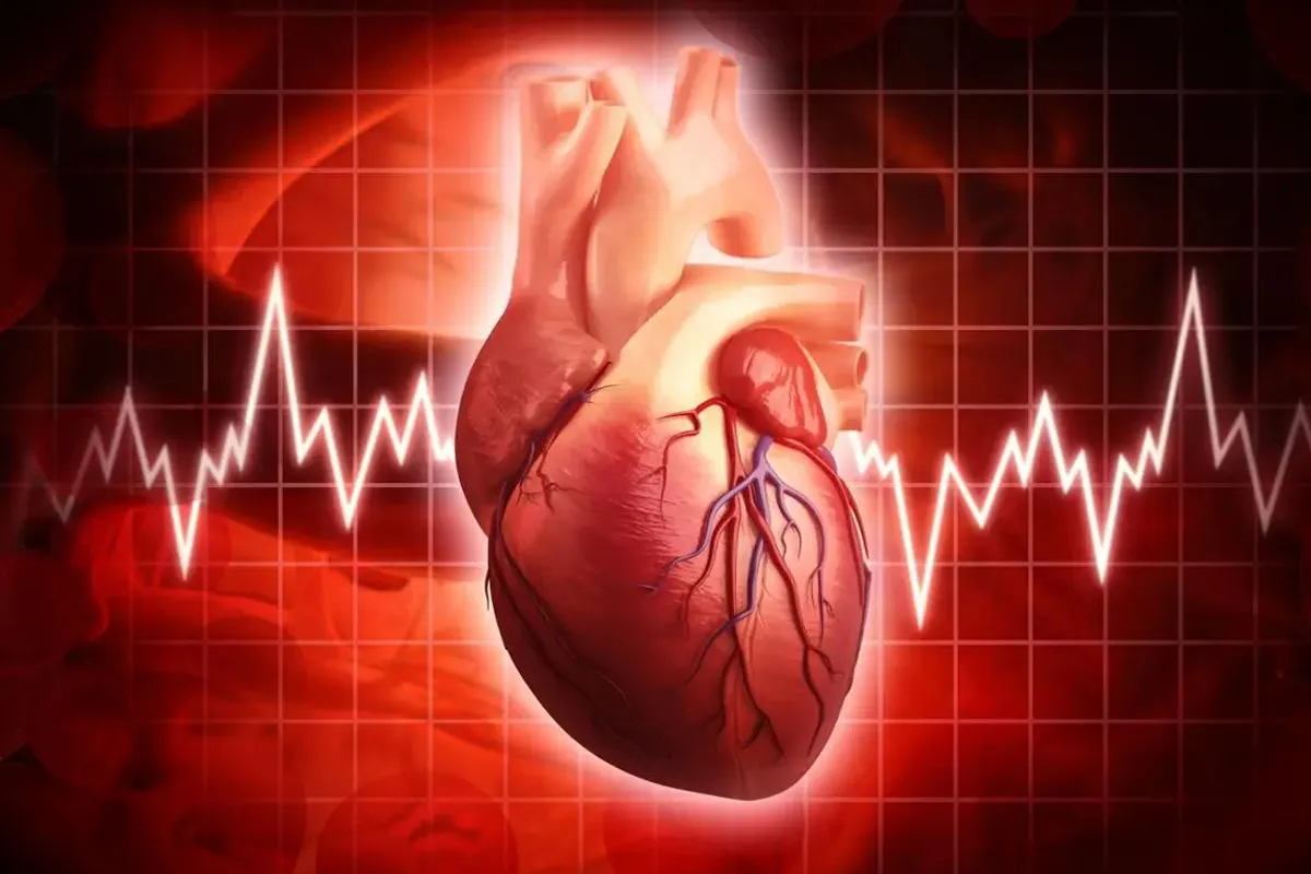 آیا تپش قلب باعث مرگ میشود؟