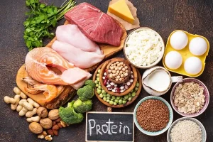 بهترین پروتئین‌ها برای عضله‌سازی: کدام گزینه برای شما ایده‌آل است؟